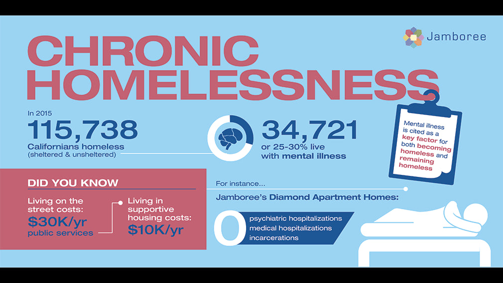 An informative graphic on chronic homelessness
